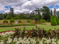 Powerscourt House & Gardens